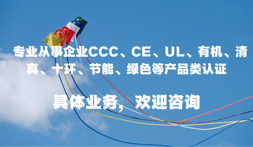 藍白色風箏簡潔活動活動中文門票 的副本 的副本.png