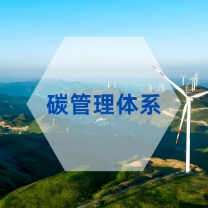 碳管理體系認證 T/CCAA 39-2022